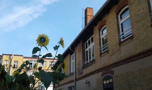 klassMo Gästehaus - Qualität und Stil, immer ein Vergnügen!
