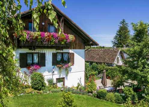Blumen-Wohnung  Irene  DORN   Erling-Andechs  Oberbayern