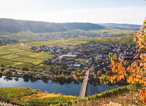 Ferienhaus in Trittenheim