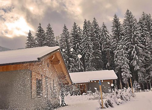 Ferienchalet am Waldrand in Watschig bei Hermagor Kärnten barrierefrei