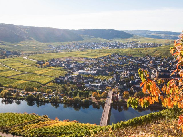 Ferienhaus in Trittenheim