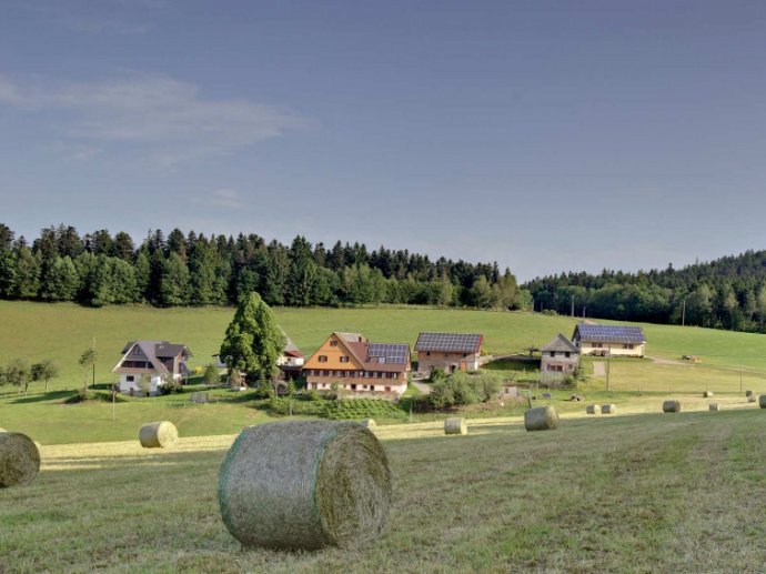 Gebelehof Ferienwohnungen im Schwarzwald nahe St.Roman bei Wolfach